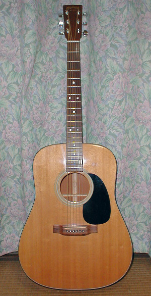 MARTIN　D-18